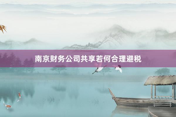 南京财务公司共享若何合理避税