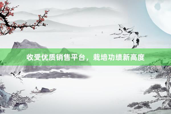 收受优质销售平台，栽培功绩新高度