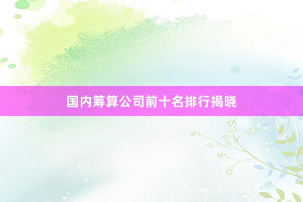 国内筹算公司前十名排行揭晓
