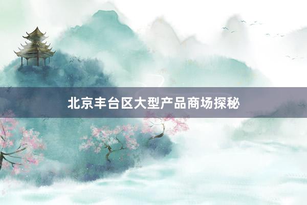 北京丰台区大型产品商场探秘