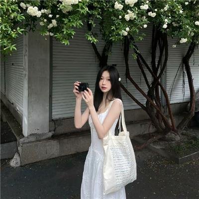 乐游原